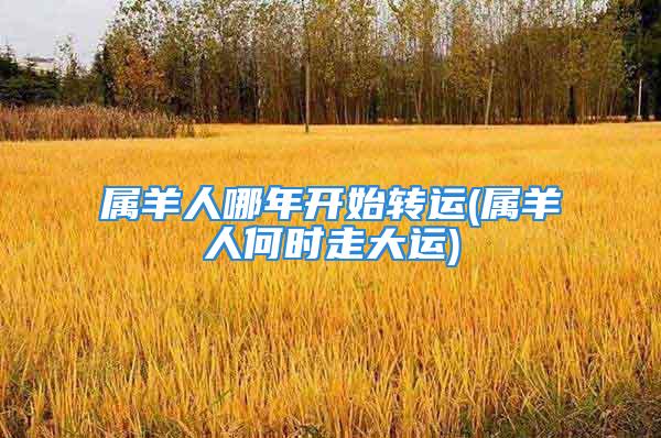 属羊人哪年开始转运(属羊人何时走大运)