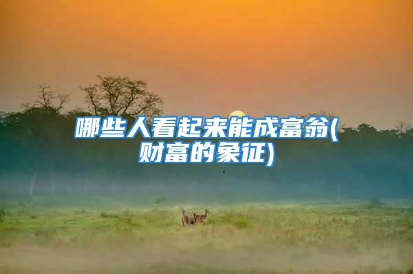 哪些人看起来能成富翁(财富的象征)