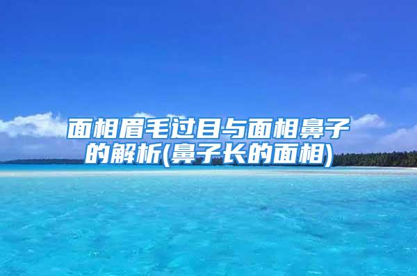 面相眉毛过目与面相鼻子的解析(鼻子长的面相)