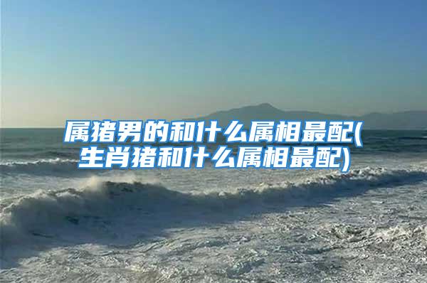 属猪男的和什么属相最配(生肖猪和什么属相最配)