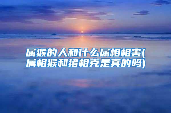 属猴的人和什么属相相害(属相猴和猪相克是真的吗)