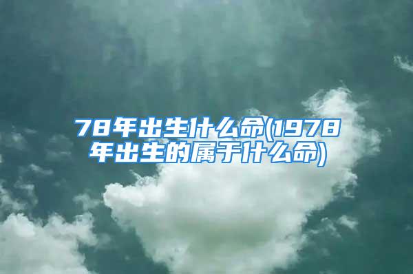 78年出生什么命(1978年出生的属于什么命)