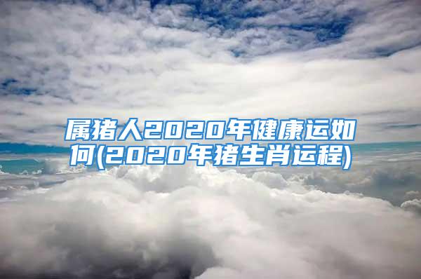 属猪人2020年健康运如何(2020年猪生肖运程)