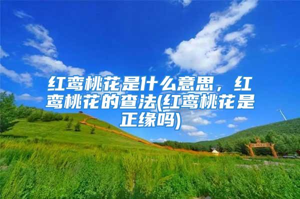 红鸾桃花是什么意思，红鸾桃花的查法(红鸾桃花是正缘吗)