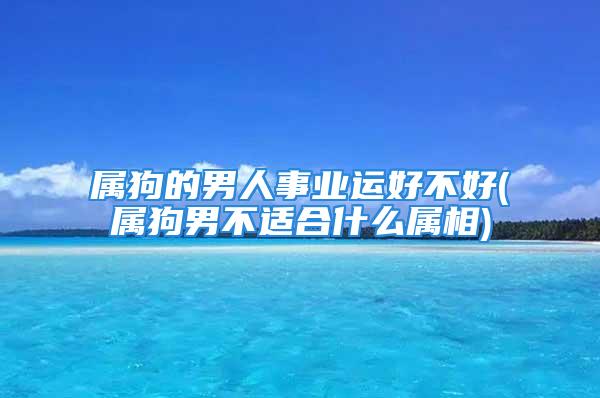 属狗的男人事业运好不好(属狗男不适合什么属相)