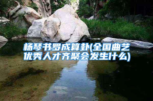 杨琴书罗成算卦(全国曲艺优秀人才齐聚会发生什么)