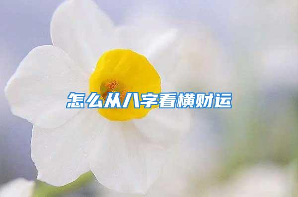 怎么从八字看横财运