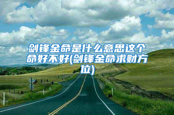 剑锋金命是什么意思这个命好不好(剑锋金命求财方位)