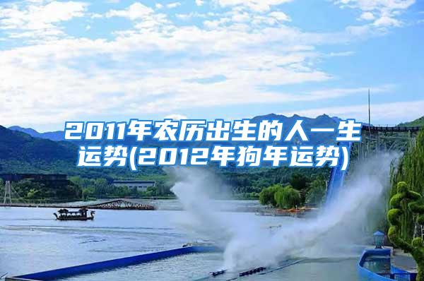 2011年农历出生的人一生运势(2012年狗年运势)