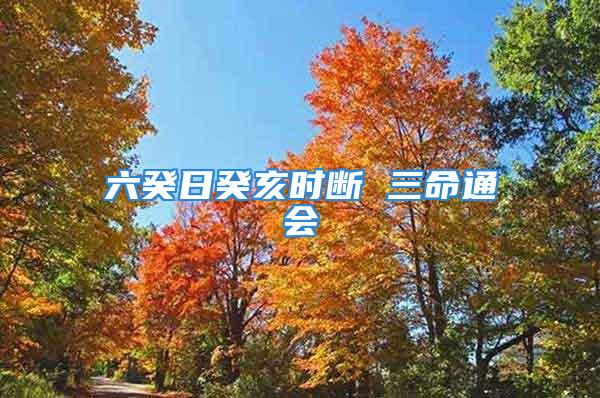六癸日癸亥时断 三命通会