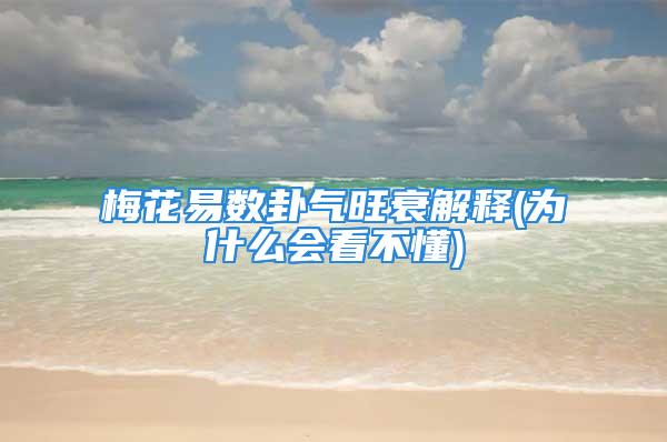 梅花易数卦气旺衰解释(为什么会看不懂)