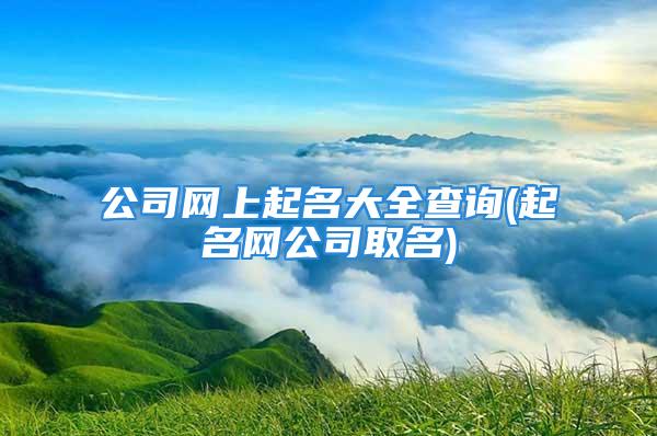 公司网上起名大全查询(起名网公司取名)