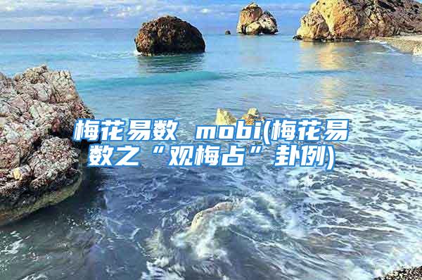 梅花易数 mobi(梅花易数之“观梅占”卦例)