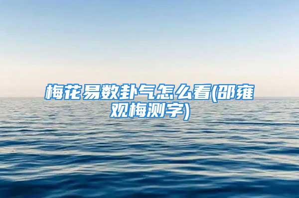 梅花易数卦气怎么看(邵雍观梅测字)