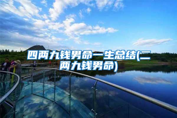 四两九钱男命一生总结(二两九钱男命)