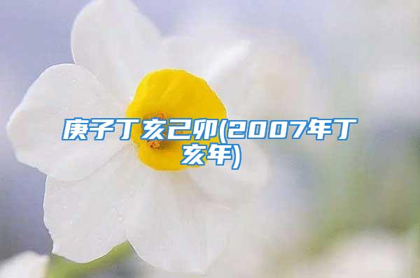 庚子丁亥己卯(2007年丁亥年)