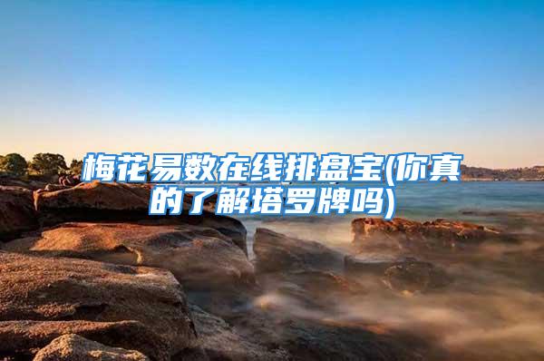 梅花易数在线排盘宝(你真的了解塔罗牌吗)