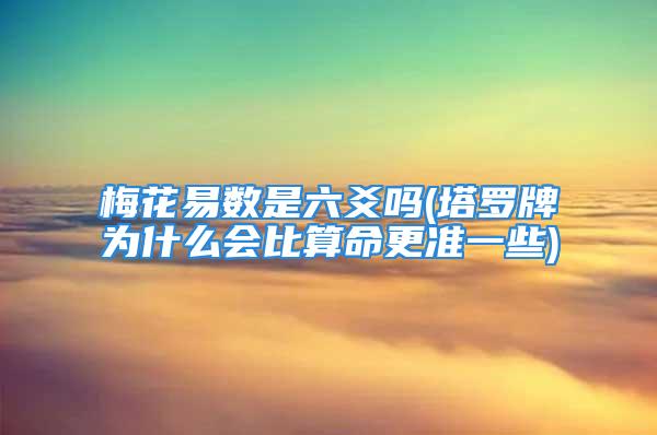 梅花易数是六爻吗(塔罗牌为什么会比算命更准一些)