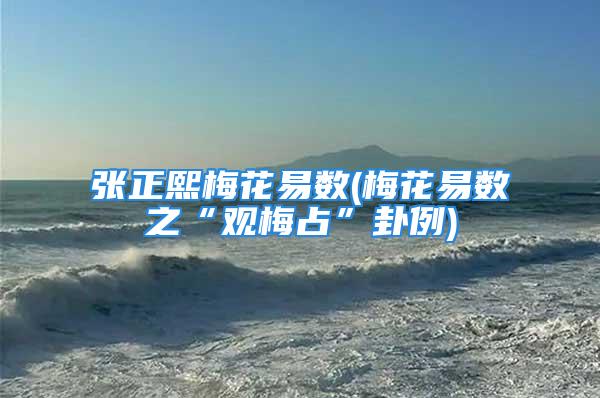 张正熙梅花易数(梅花易数之“观梅占”卦例)