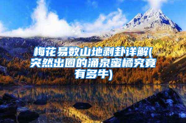 梅花易数山地剥卦详解(突然出圈的涌泉蜜橘究竟有多牛)