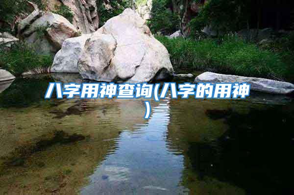 八字用神查询(八字的用神)
