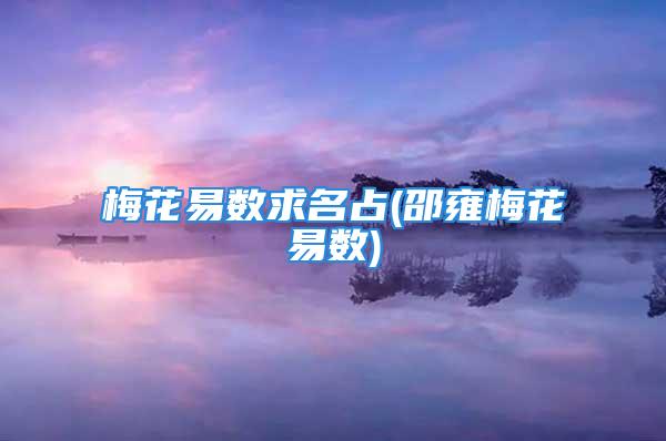 梅花易数求名占(邵雍梅花易数)