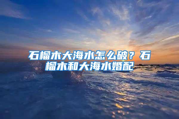 石榴木大海水怎么破？石榴木和大海水婚配