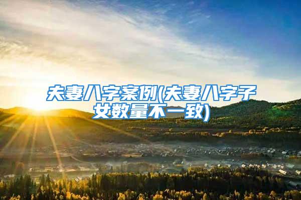 夫妻八字案例(夫妻八字子女数量不一致)