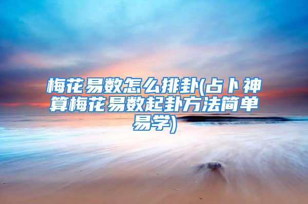 梅花易数怎么排卦(占卜神算梅花易数起卦方法简单易学)