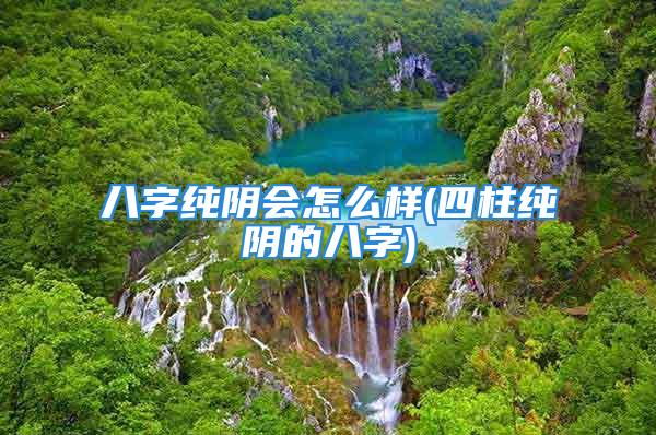 八字纯阴会怎么样(四柱纯阴的八字)