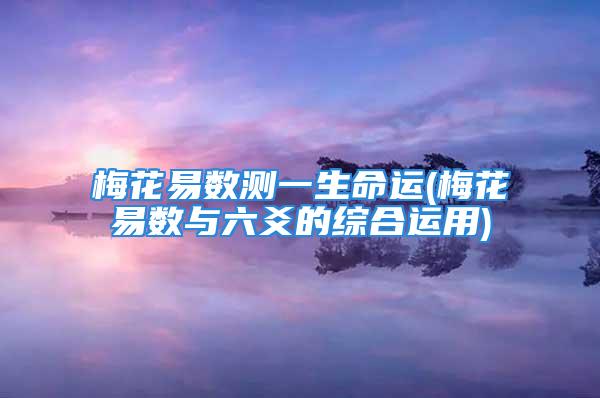 梅花易数测一生命运(梅花易数与六爻的综合运用)