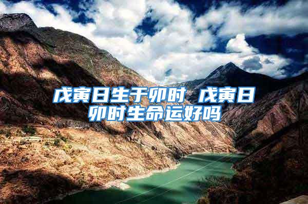 戊寅日生于卯时 戊寅日卯时生命运好吗