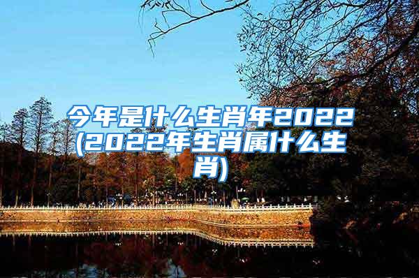 今年是什么生肖年2022(2022年生肖属什么生肖)