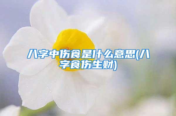 八字中伤食是什么意思(八字食伤生财)