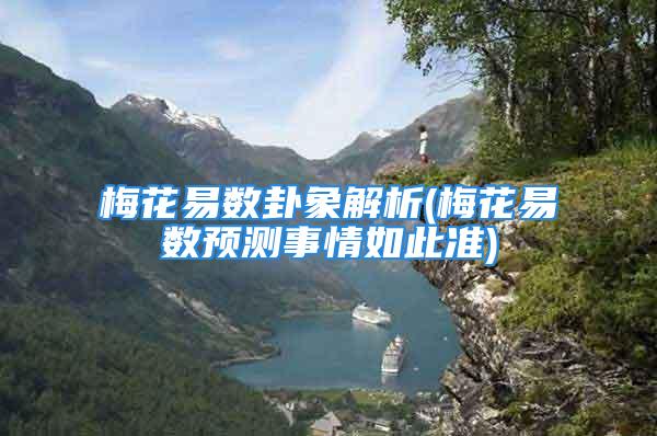 梅花易数卦象解析(梅花易数预测事情如此准)