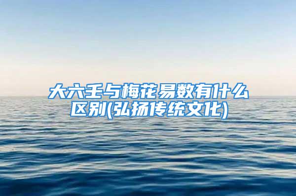 大六壬与梅花易数有什么区别(弘扬传统文化)