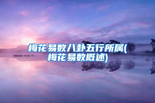 梅花易数八卦五行所属(梅花易数概述)