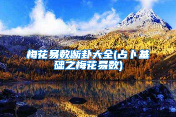 梅花易数断卦大全(占卜基础之梅花易数)