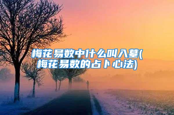 梅花易数中什么叫入墓(梅花易数的占卜心法)