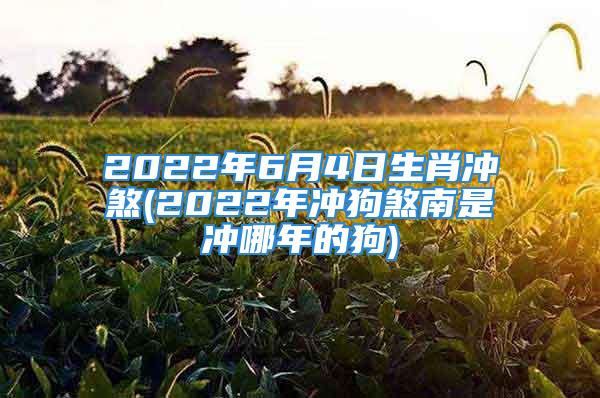 2022年6月4日生肖冲煞(2022年冲狗煞南是冲哪年的狗)