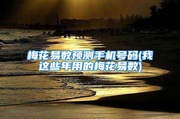 梅花易数预测手机号码(我这些年用的梅花易数)