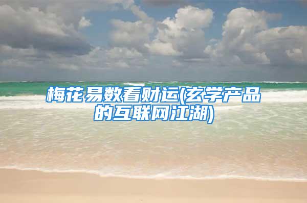 梅花易数看财运(玄学产品的互联网江湖)