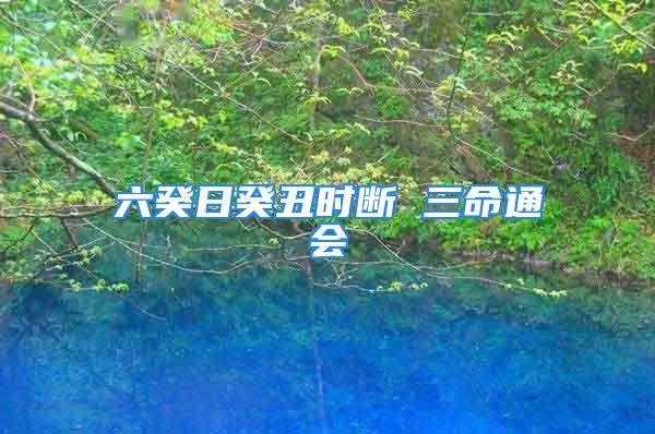 六癸日癸丑时断 三命通会