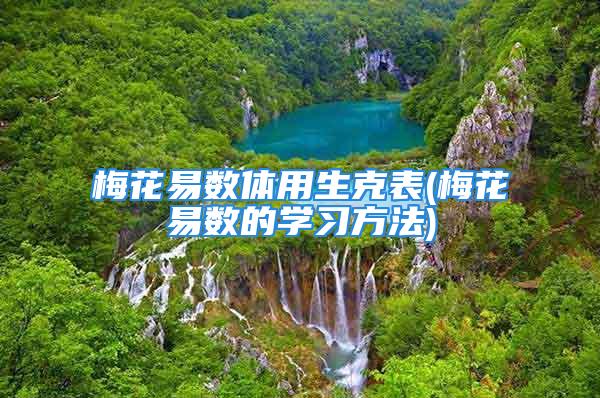 梅花易数体用生克表(梅花易数的学习方法)