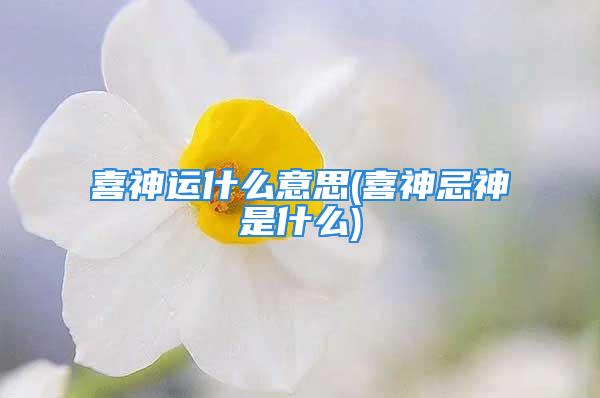 喜神运什么意思(喜神忌神是什么)