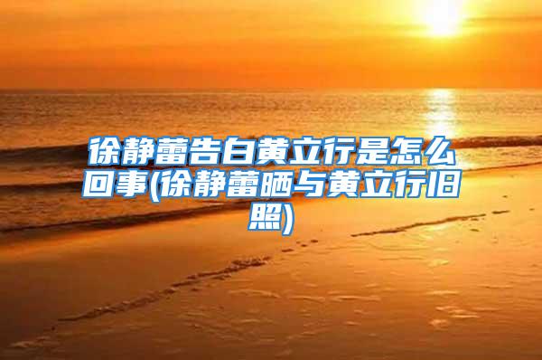 徐静蕾告白黄立行是怎么回事(徐静蕾晒与黄立行旧照)