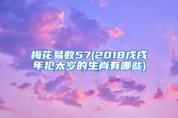 梅花易数57(2018戊戌年犯太岁的生肖有哪些)