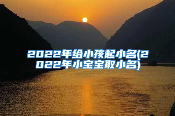 2022年给小孩起小名(2022年小宝宝取小名)