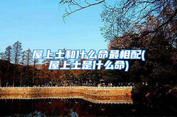 屋上土和什么命最相配(屋上土是什么命)