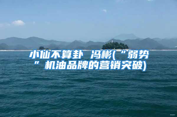 小仙不算卦 冯彬(“弱势”机油品牌的营销突破)